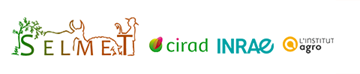 logo_selmet.png